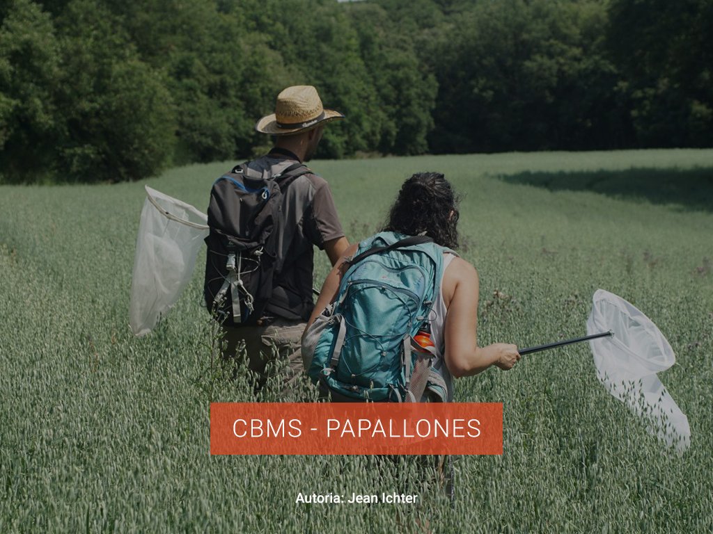 CBMS-PAPALLONES