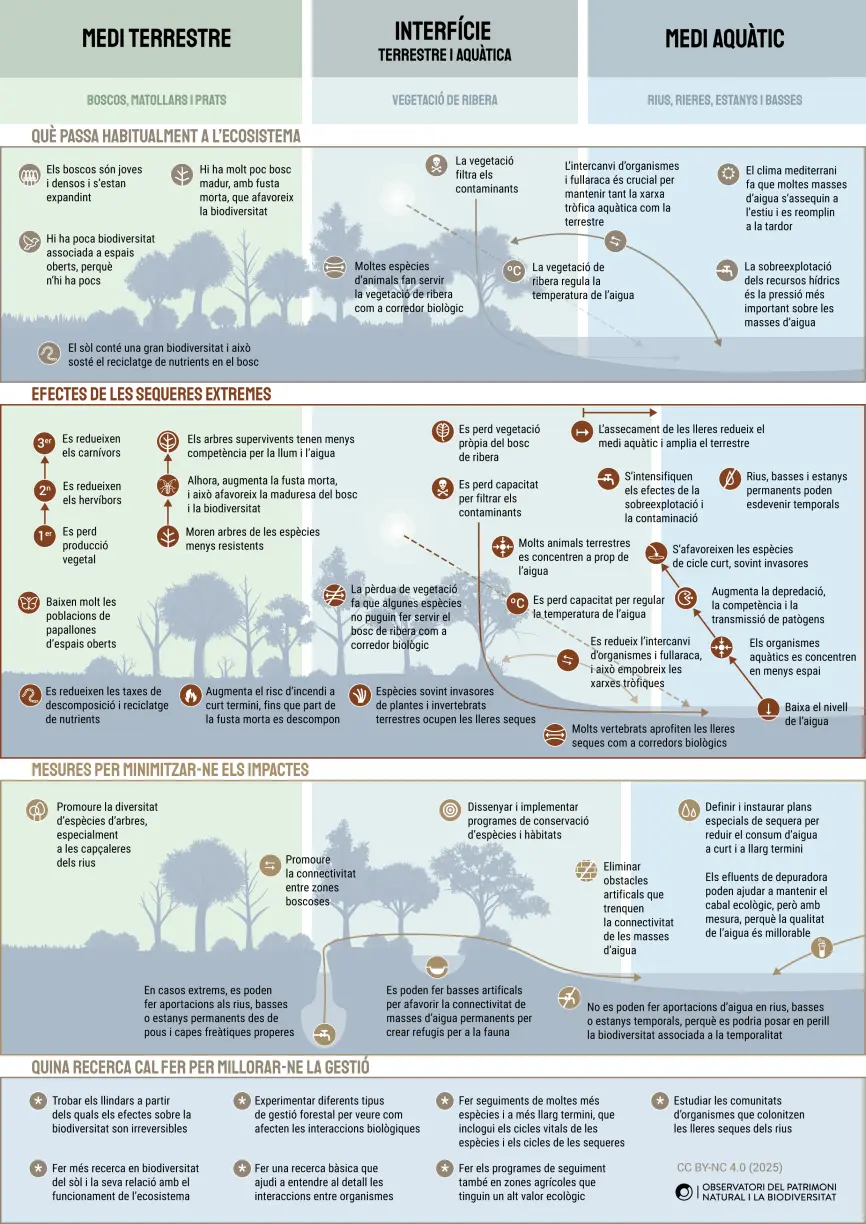 Síntesi visual dels efectes de les sequeres extremes sobre la biodiversitat, disseny: Jose Luís Ordoñez