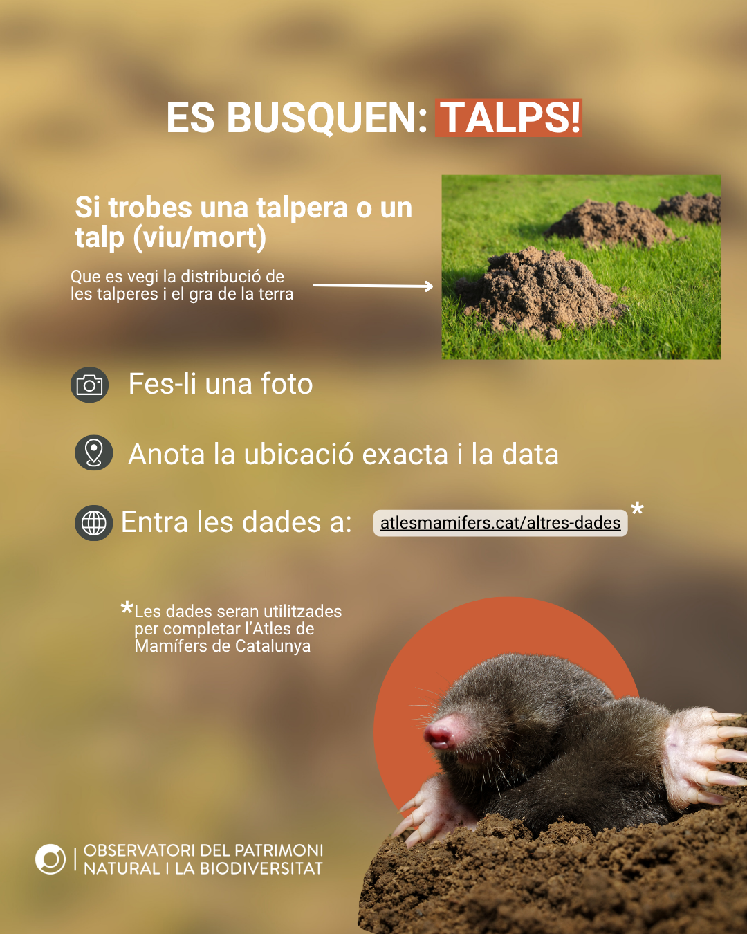 Pots enviar-nos la mostra (Post de Instagram (45))