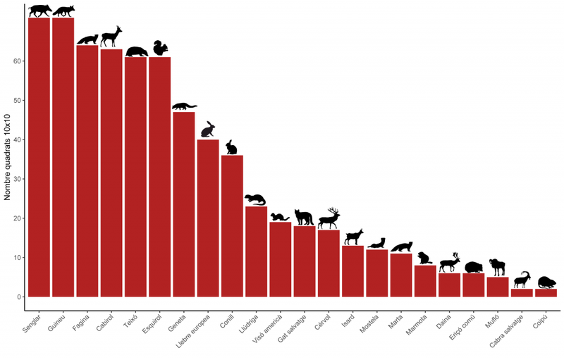 Ranking_Especies_1erAny_CAT-1024x655