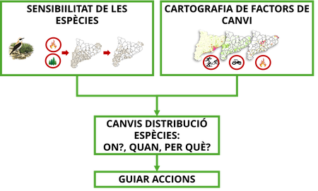 canviCAT