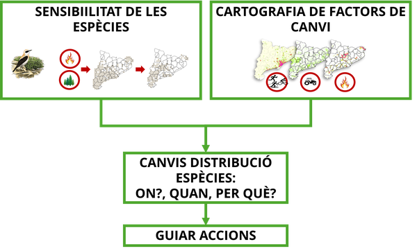 canviCAT