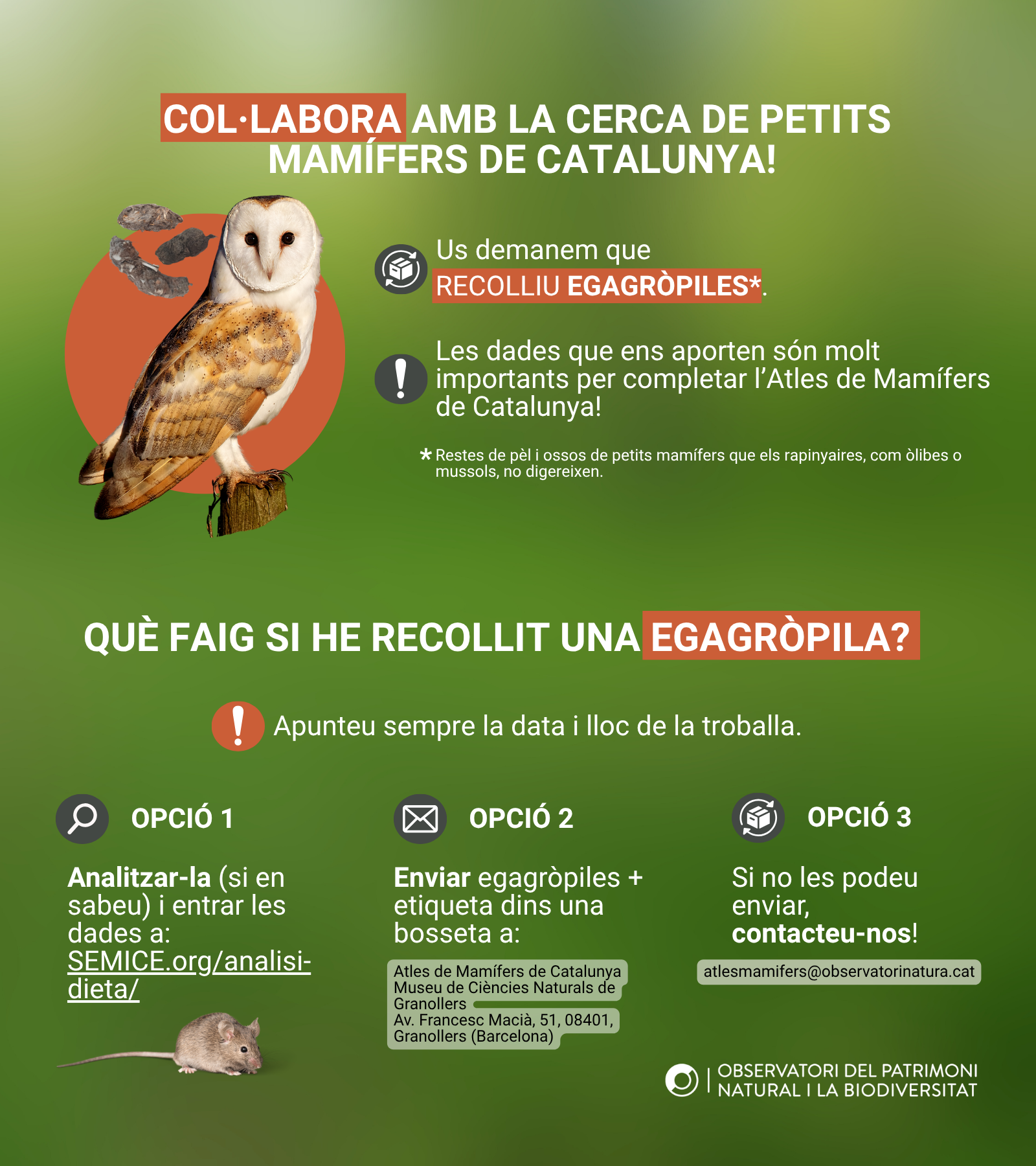 egagròpiles whatsapp