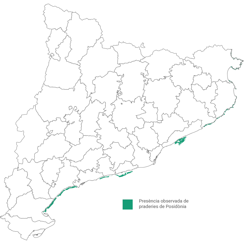 posidona_map